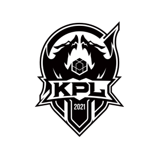 2024 LPL 全明星赛-有趣的统计数据： rookie 是最年长的选手； bin 是最年轻的选手