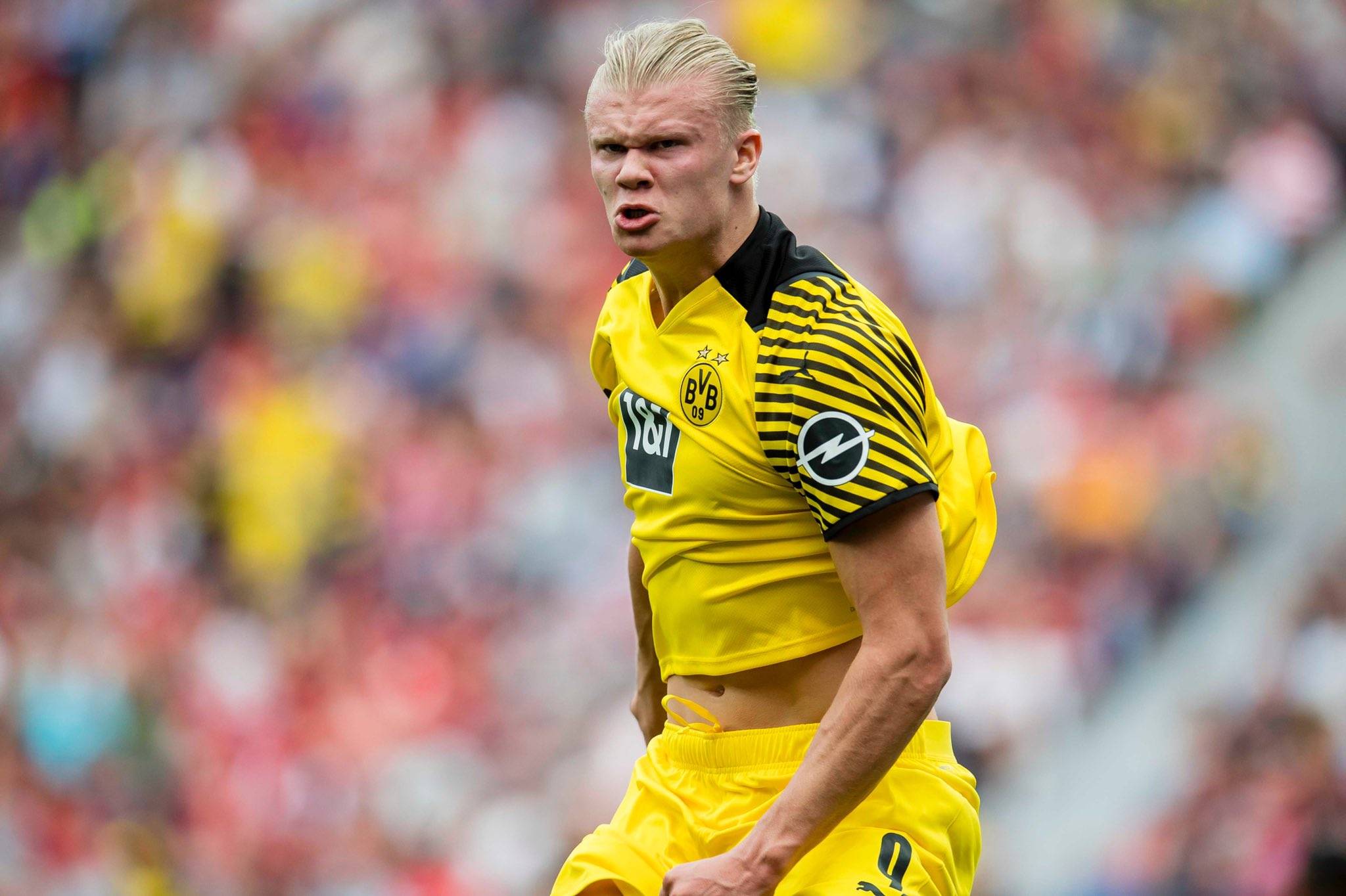 英雄联盟NEST2022参赛队员，有一线选手噢